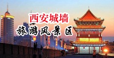 小萍萍哺乳期啪啪中国陕西-西安城墙旅游风景区